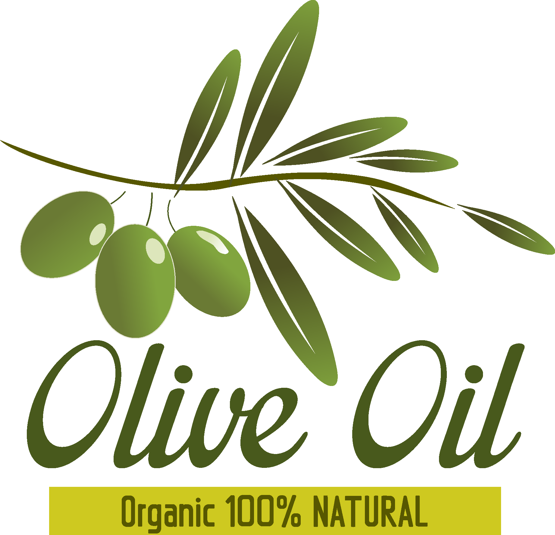 Olive Oil Logo Vector Logo